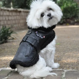 Top Dog Vintage Flight Jacket & Leash